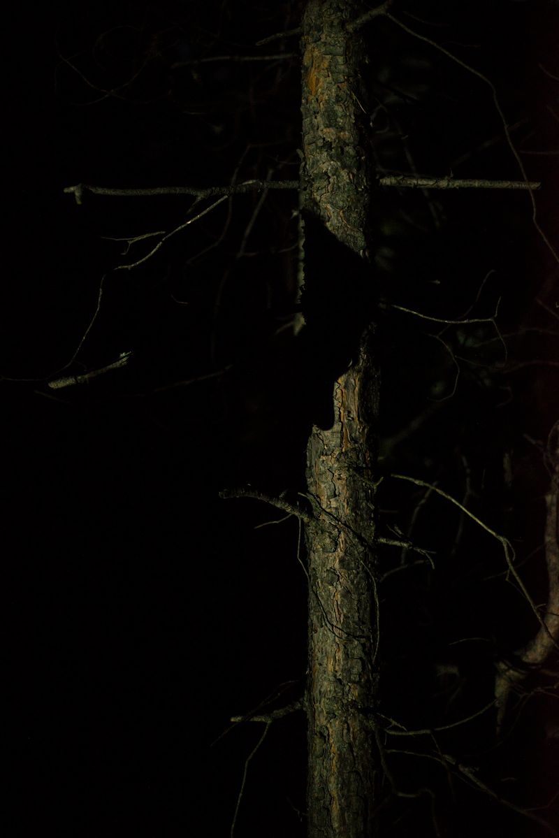 © Ekaterina Plechinta - Image from the Mermaid Diary photography project