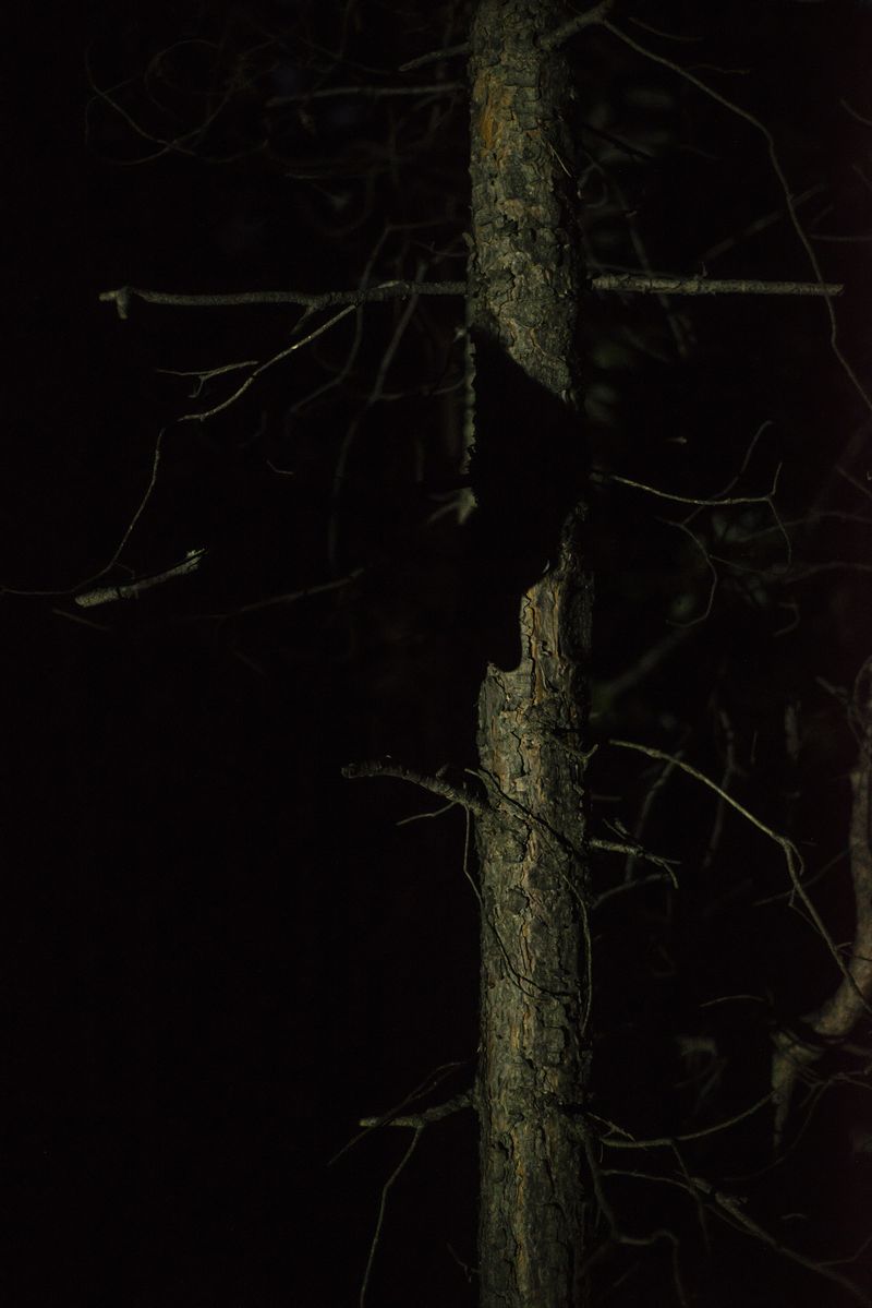 © Ekaterina Plechinta - Image from the Mermaid Diary photography project