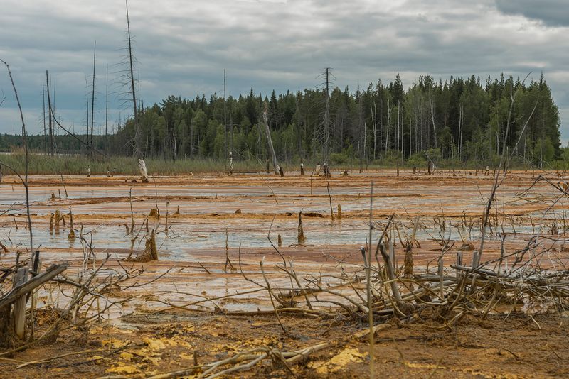 © Ekaterina Plechinta - Image from the Mermaid Diary photography project