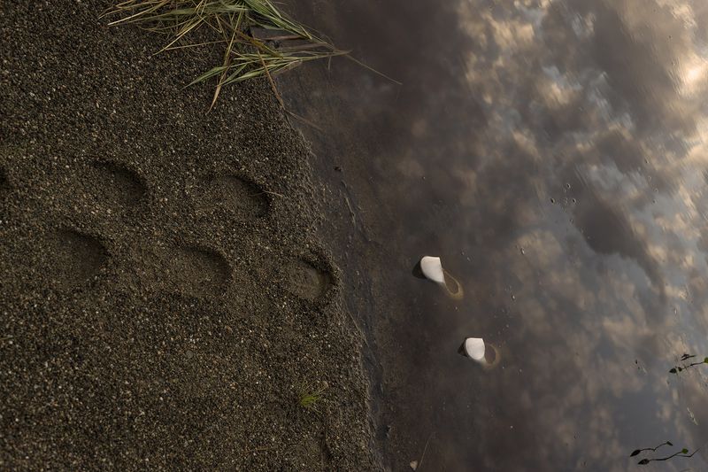 © Ekaterina Plechinta - Image from the Mermaid Diary photography project