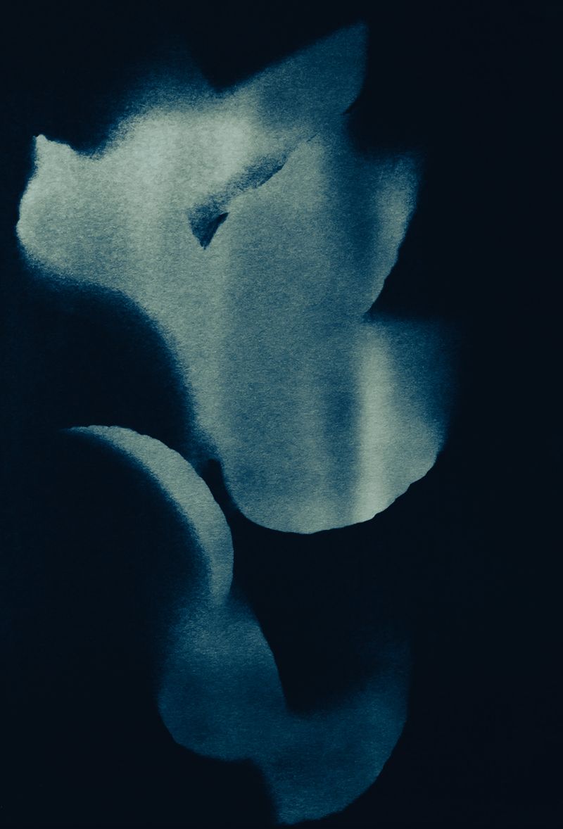 © françoise schneiders - Image from the A Burial photography project