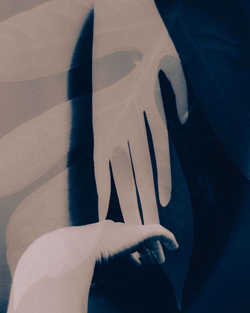 © françoise schneiders - For many nights I used to dream that we were almost holding hands.