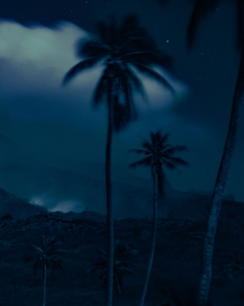 © françoise schneiders - Image from the A Burial photography project