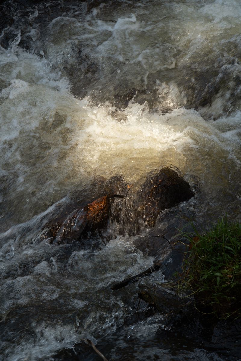 © Valentina Soto - Image from the La maleza photography project