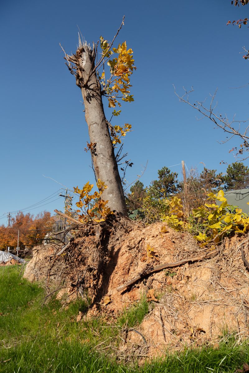 © Valentina Soto - Image from the La maleza photography project