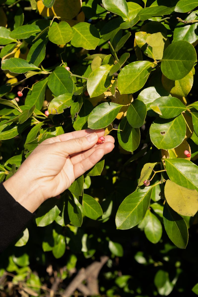 © Valentina Soto - Image from the La maleza photography project