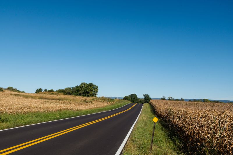 © Valentina Soto - Image from the La maleza photography project