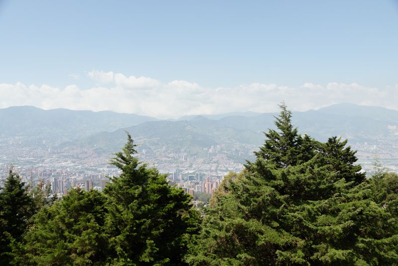 © Valentina Soto - Image from the La maleza photography project