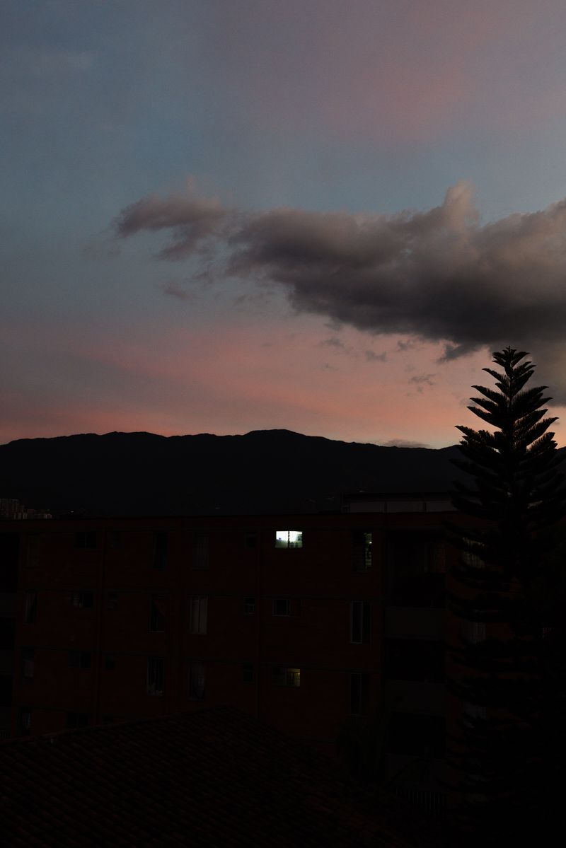 © Valentina Soto - Image from the La maleza photography project