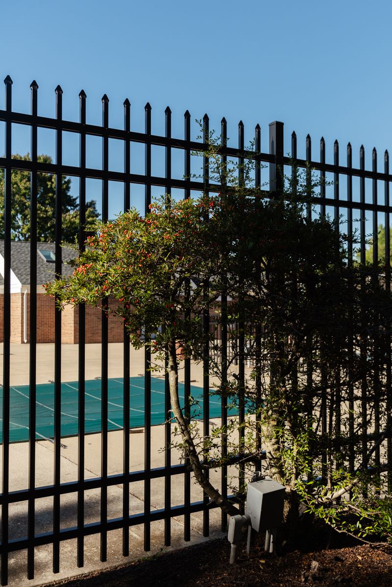 © Valentina Soto - Image from the La maleza photography project