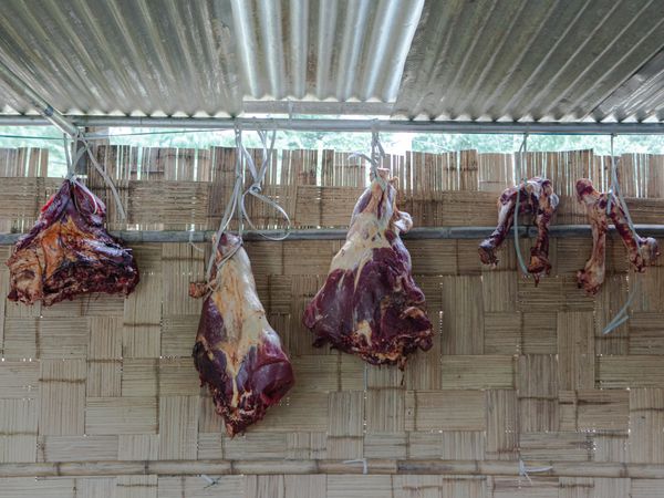 © Sahil Jagasia - A community feast of a Drung Ox (locally called Mithun) is an essential aspect of the festival.