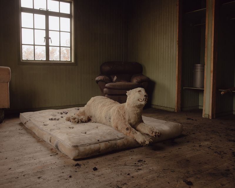 Image from a project on PhMuseum