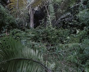 Premio Editorial de Fotografía Documental Galega 2025