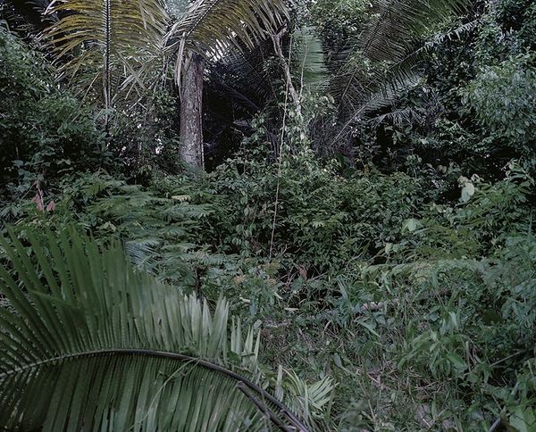 © Iván Nespereira