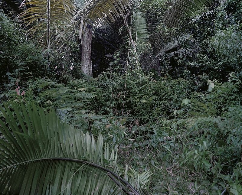 © Iván Nespereira