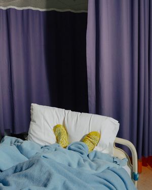 The Bob and Diane Fund Grant 2025