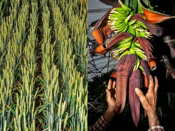 © Jean-Marc Caimi and Valentina Piccinni