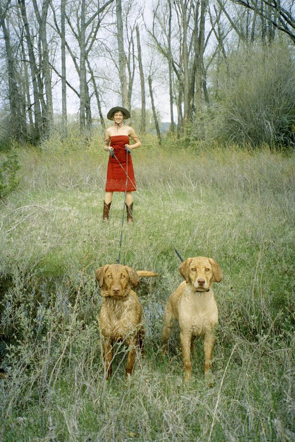 © Clara DeWeese - Birdie and the Hounds