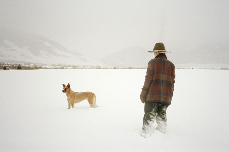 © Clara DeWeese - A February Walk