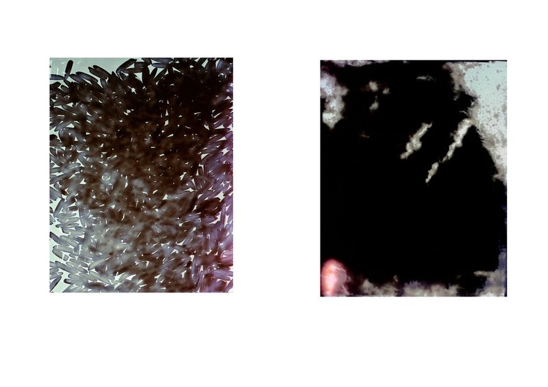 © Vera Nowottny - Image from the C19 (temporary working title) photography project
