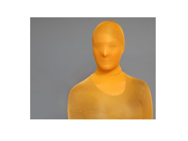 © Vera Nowottny - yellow body