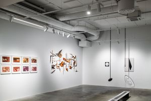 SENSING MATTER: FROM THE INFRA-THIN TO THE PHOTOGRAPHIC OBJECT