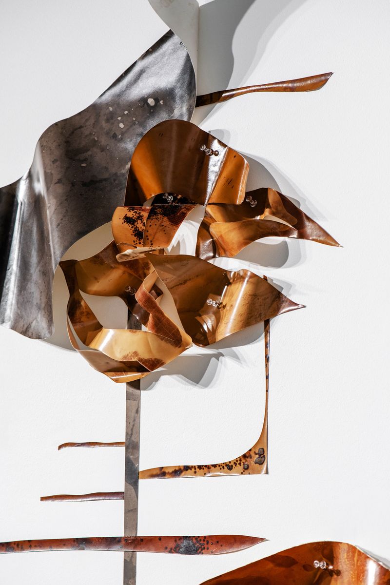 Image from a project on PhMuseum