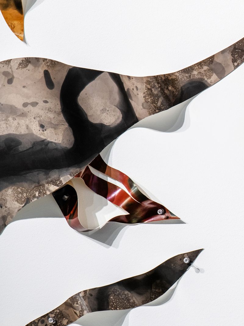 Image from a project on PhMuseum