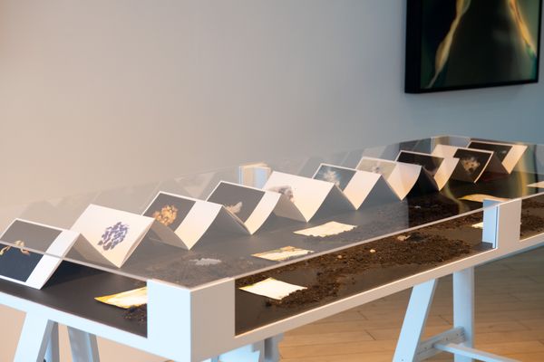 Image from a project on PhMuseum
