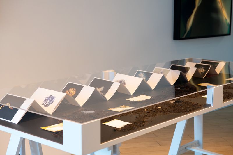 Image from a project on PhMuseum