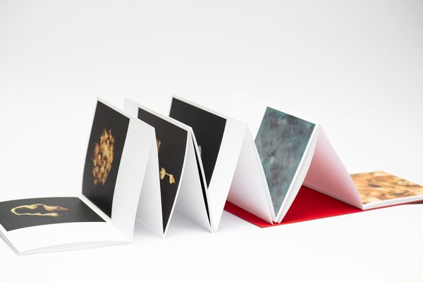 Image from a project on PhMuseum