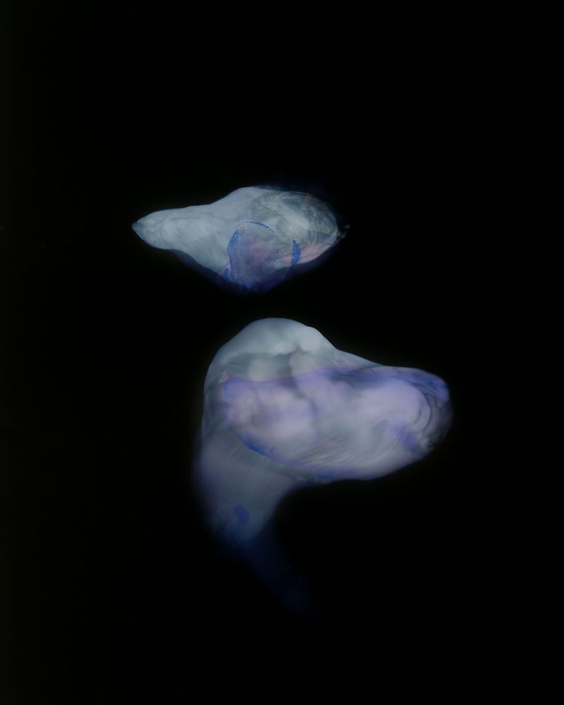 Image from a project on PhMuseum