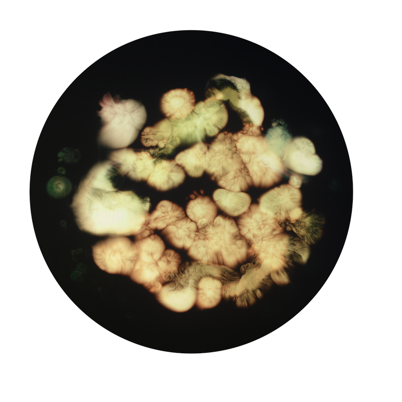 Image from a project on PhMuseum