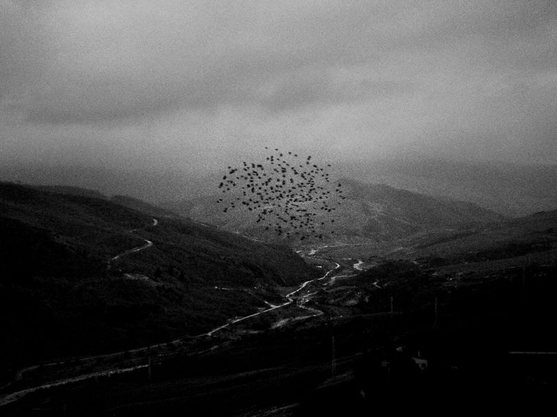 © Marco Zanella - Italy. 2019. Tolve, Basilicata.