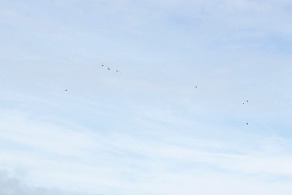 © Linta Butt - Image from the 96 DIN photography project