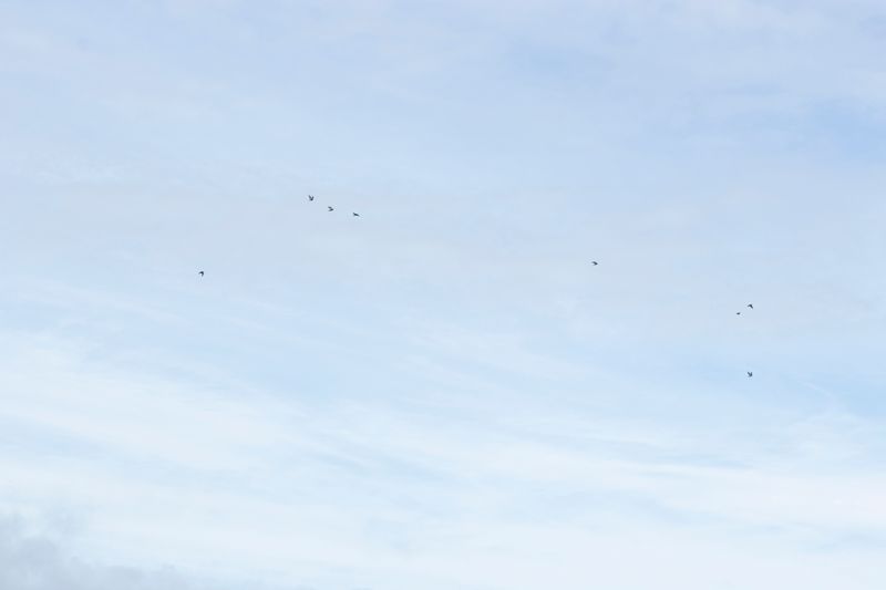 © Linta Butt - Image from the 96 DIN photography project