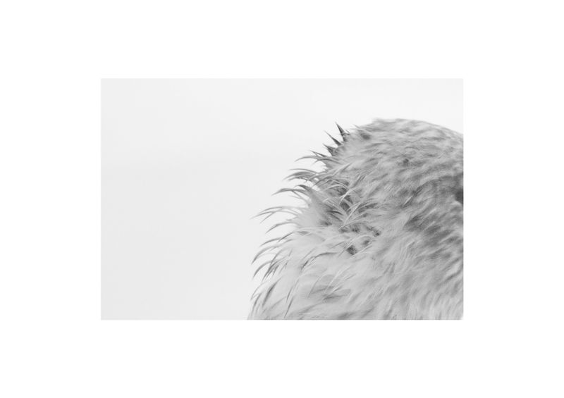 © Linta Butt - Image from the 96 DIN photography project