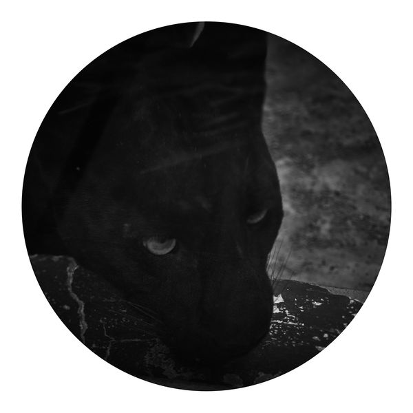 © Qian Jin - Image from the Utopia photography project