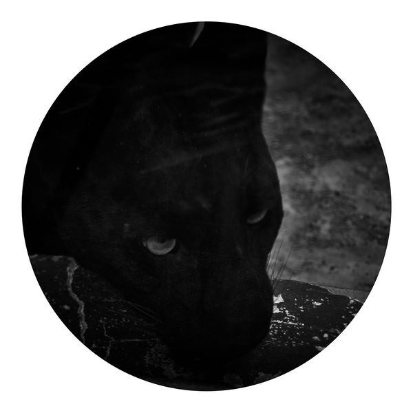 © Qian Jin - Image from the Utopia photography project