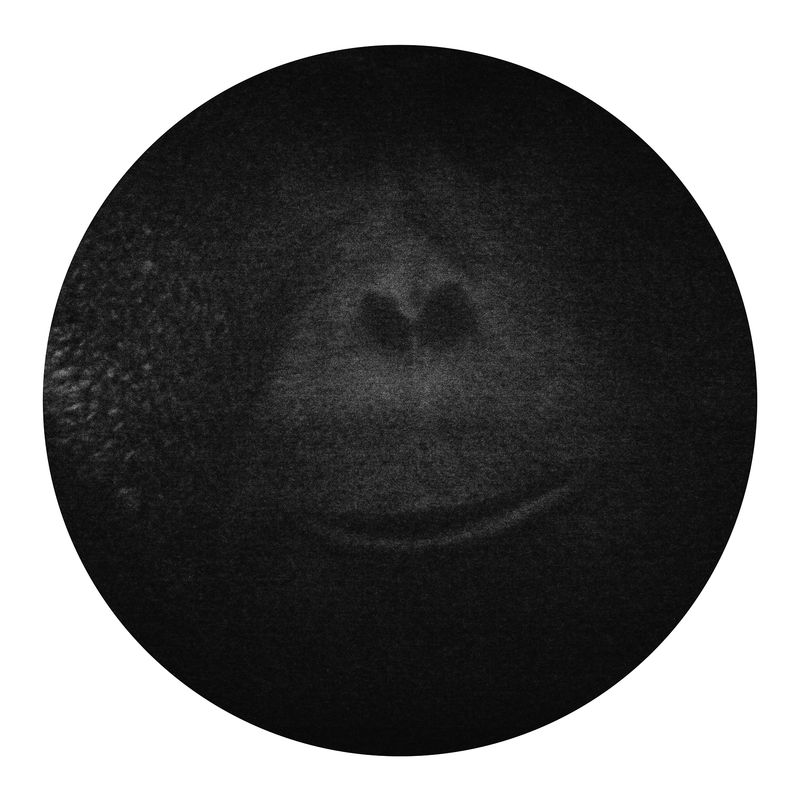 © Qian Jin - Image from the Utopia photography project