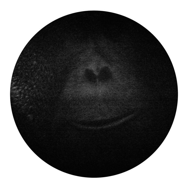 © Qian Jin - Image from the Utopia photography project