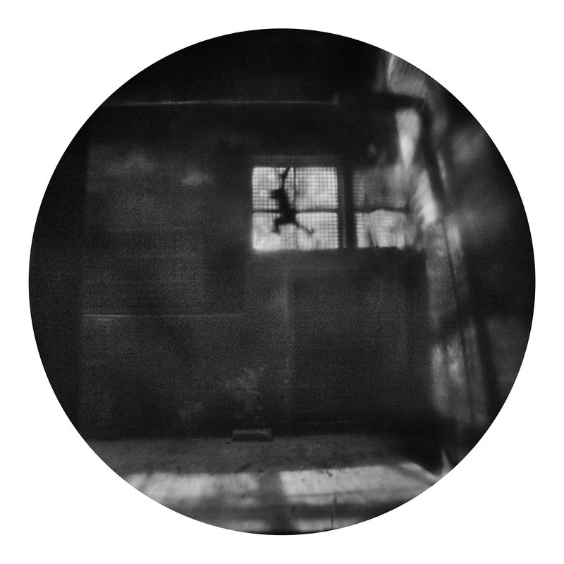 © Qian Jin - Image from the Utopia photography project