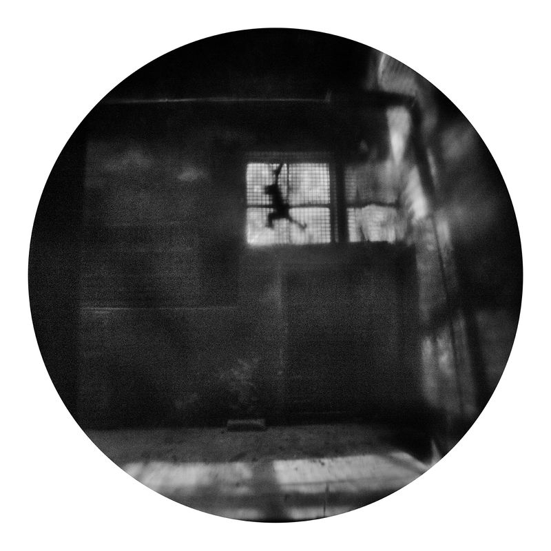 © Qian Jin - Image from the Utopia photography project