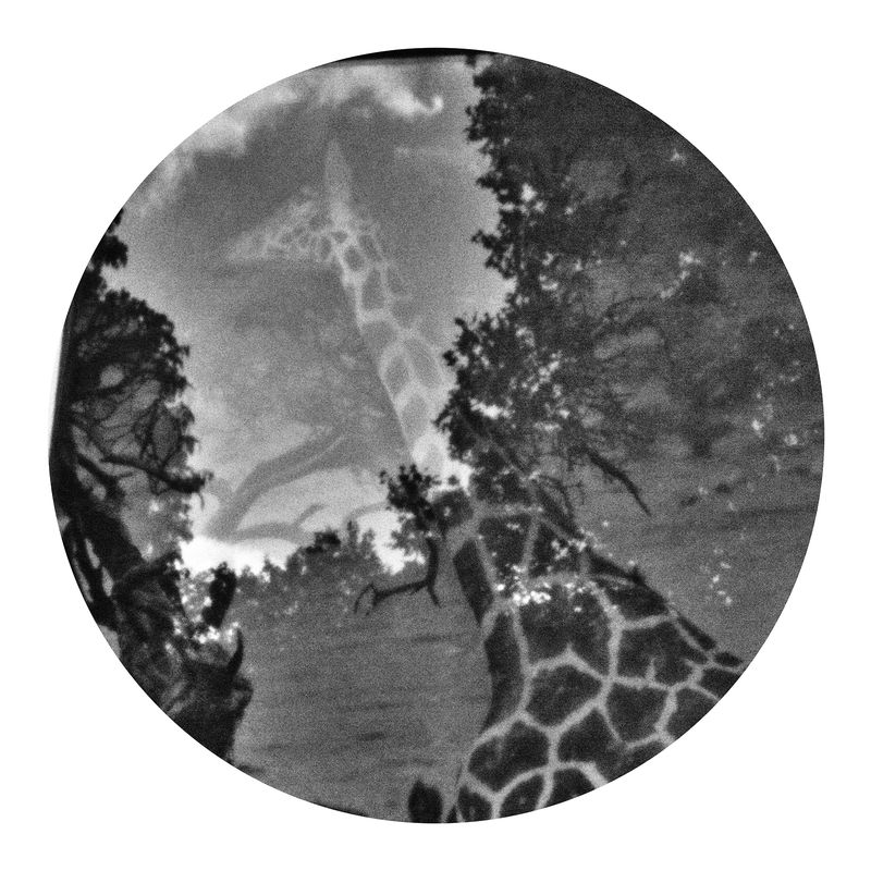 © Qian Jin - Image from the Utopia photography project