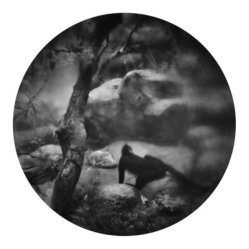 © Qian Jin - Image from the Utopia photography project