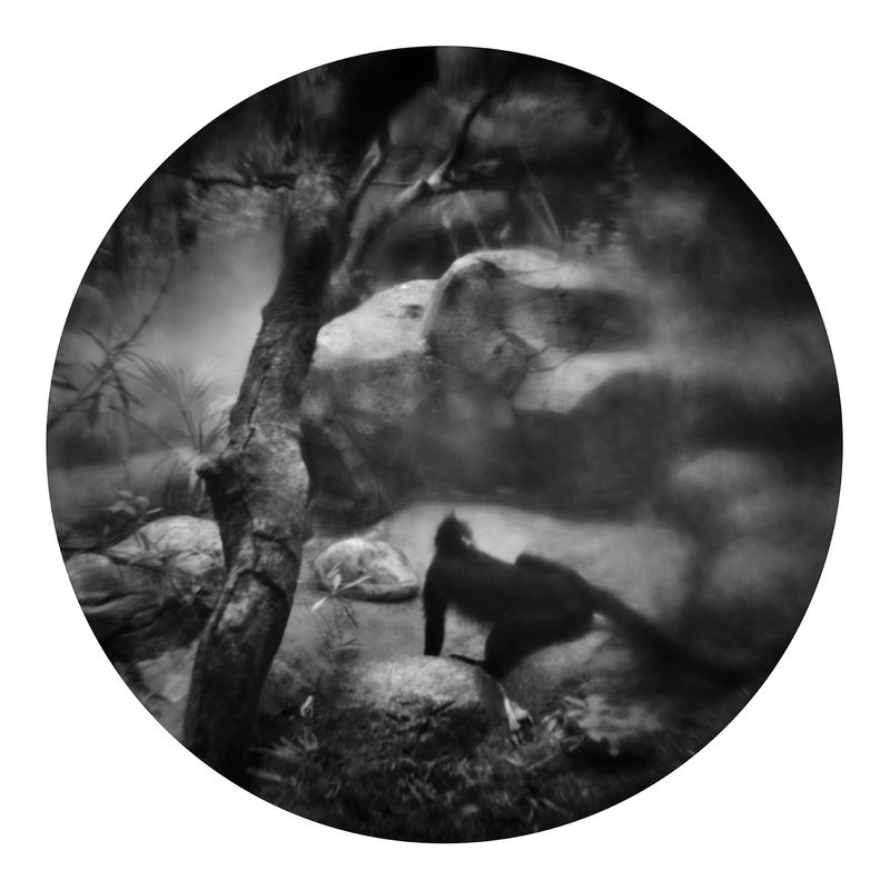 © Qian Jin - Image from the Utopia photography project