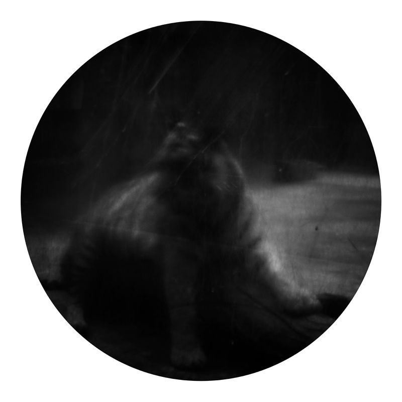 © Qian Jin - Image from the Utopia photography project