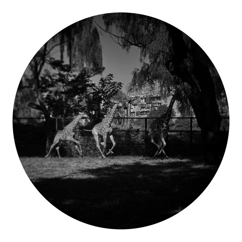 © Qian Jin - Image from the Utopia photography project