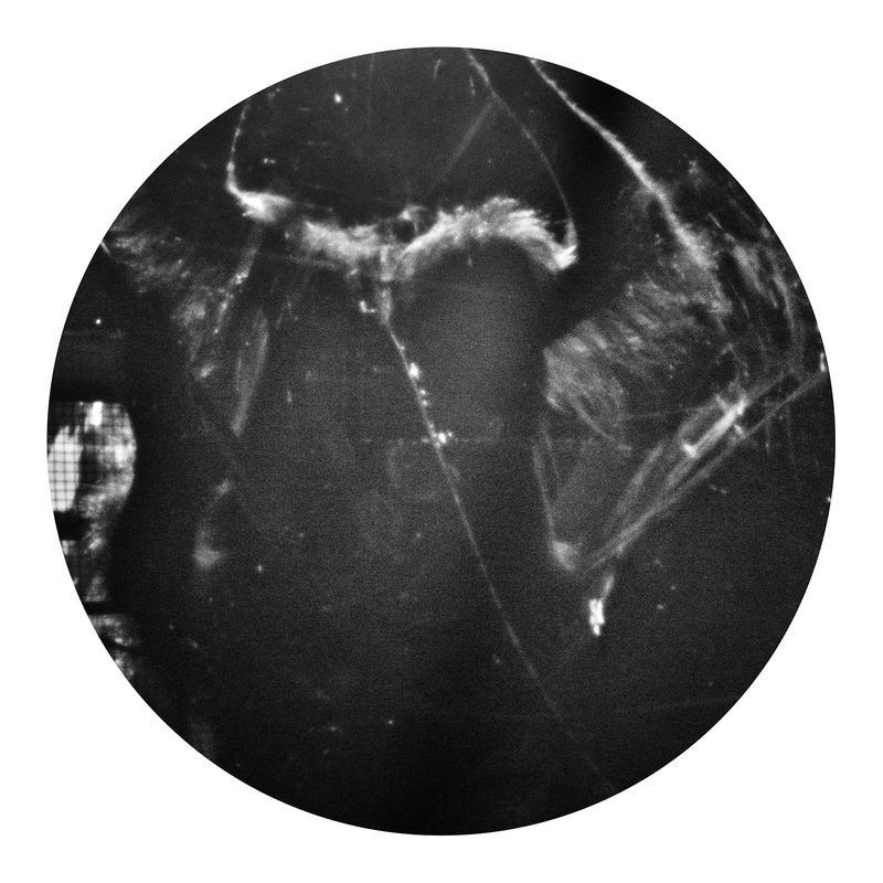 © Qian Jin - Image from the Utopia photography project