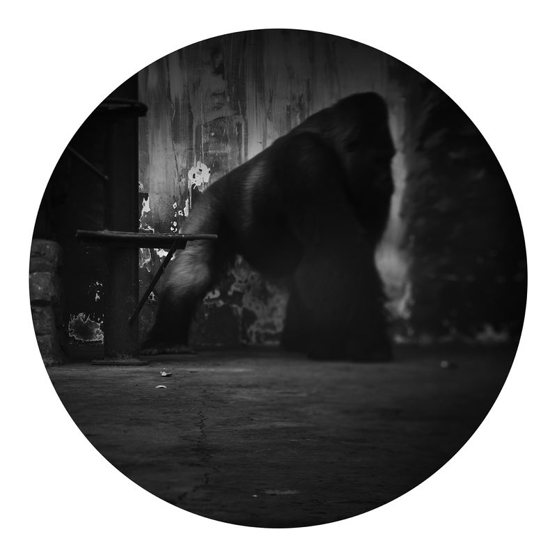 © Qian Jin - Image from the Utopia photography project